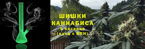 индика Белокуриха