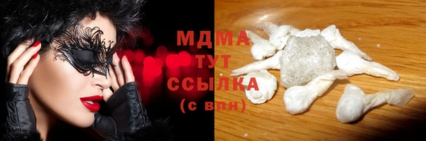 индика Белокуриха