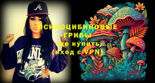 индика Белокуриха