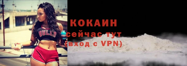 индика Белокуриха