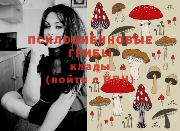 индика Белокуриха