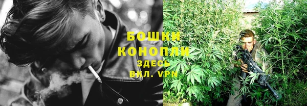 индика Белокуриха