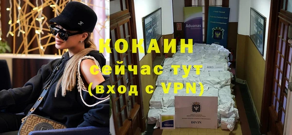 индика Белокуриха