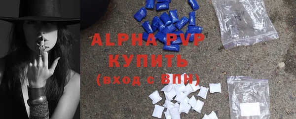 индика Белокуриха