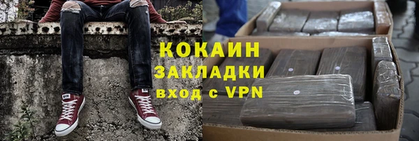 индика Белокуриха