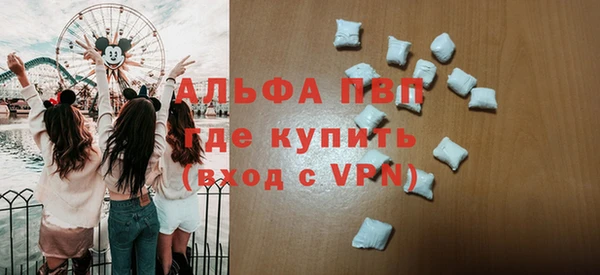 индика Белокуриха
