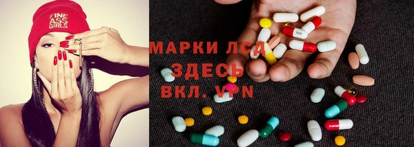 индика Белокуриха