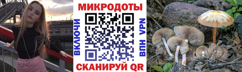 Галлюциногенные грибы ЛСД  Володарск 